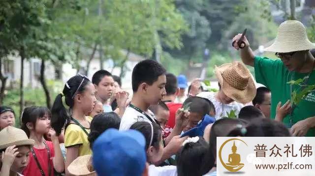 2015,第二季洞山禅文化国际夏令营开始报名